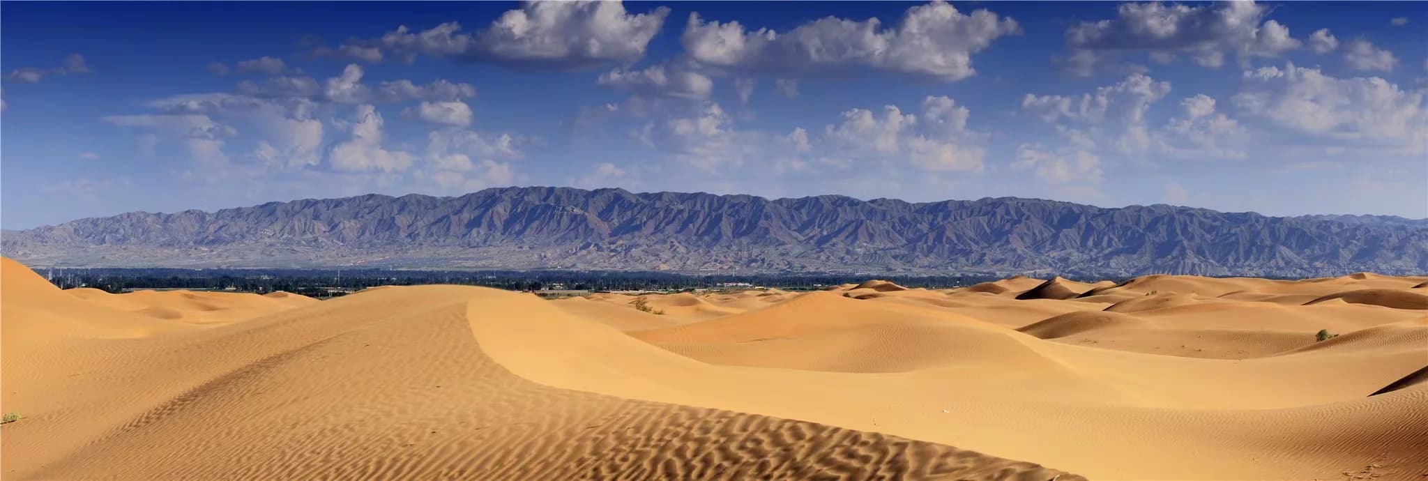 沙漠沙丘与远山组成的地貌全景